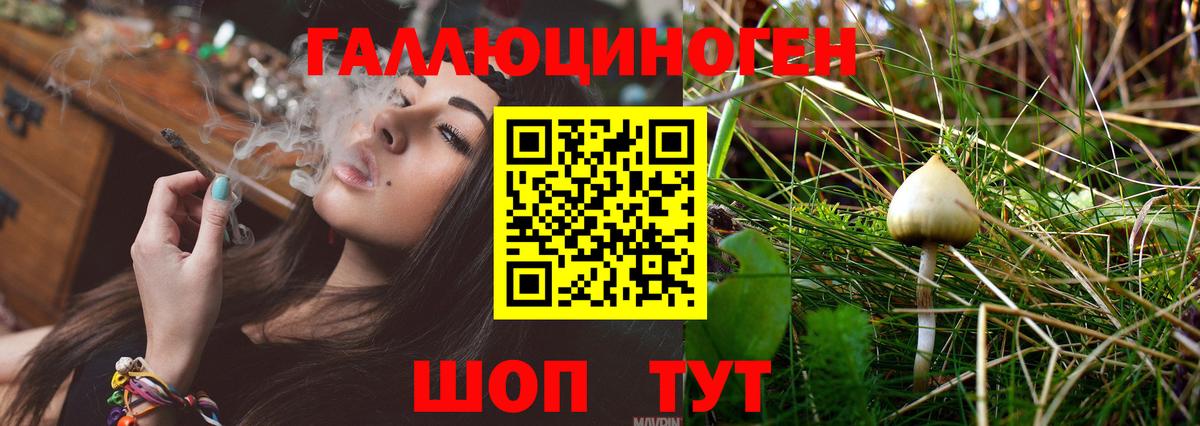 Бугуруслан  Галлюциногенные грибы ЛСД  Вход с VPN  Псилоцибиновые грибы Psilocybine cubensis 